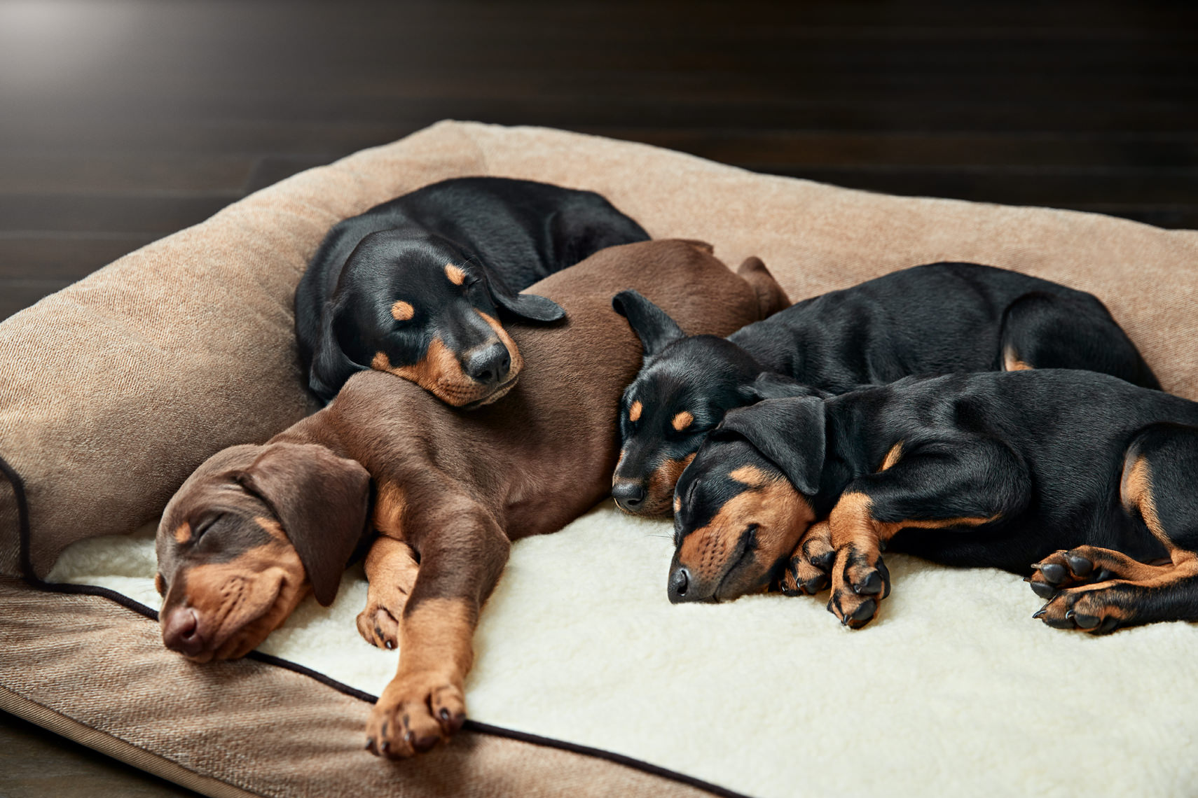 191031-PN-CKMK-PROPLAN-0259